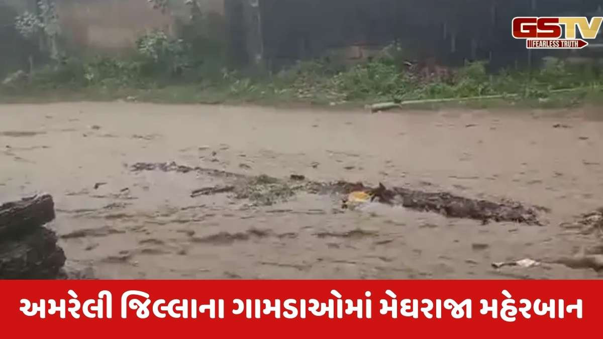 Amreli news : અમરેલીના ખાંભા, જાફરાબાદ, સાવરકુંડલા પંથકમાં ધોધમાર વરસાદ, ખેડૂતોમાં આનંદની લાગણી