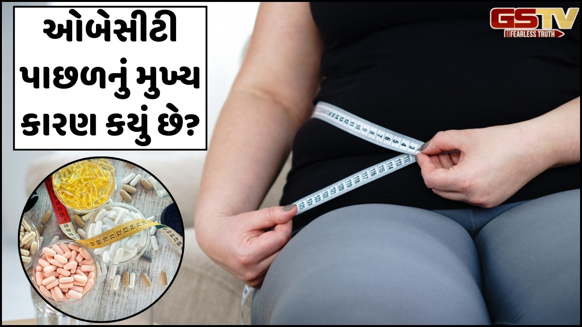 Business Plus/ ઓબેસીટીઃ વજન ઉતારવાનો તગડો બિઝનેસ