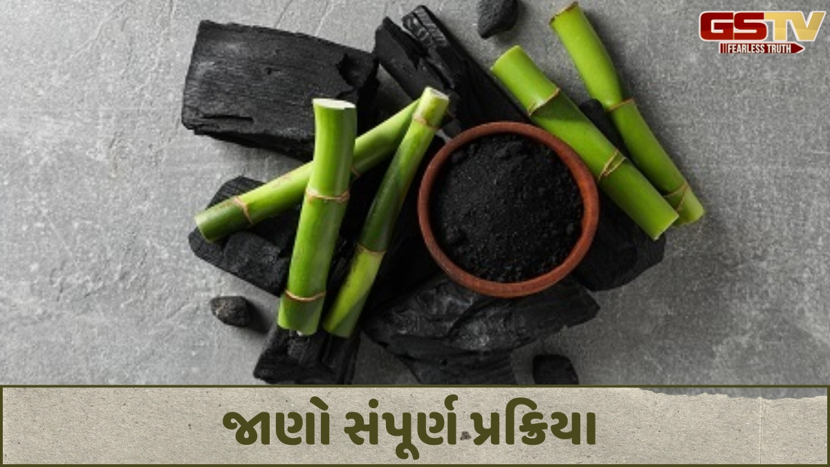 Business Plus: બામ્બુમાંથી મેળવાતા એકટિવેટેડ કાર્બન વિશે માહિતી