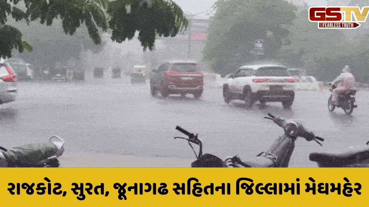 Rain in Gujarat : રાજ્યમાં શ્રાવણમાં શ્રીકાર વર્ષા, જૂનાગઢ, અમરેલી, સુરત સહિતના જિલ્લામાં વરસાદ, જુઓ