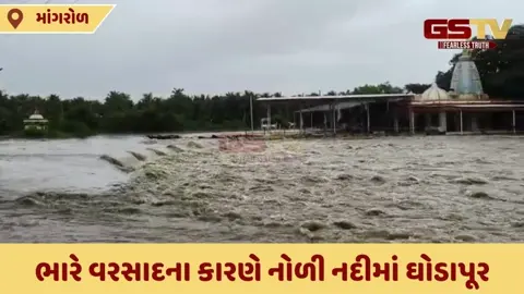 VIDEO: માળીયાહાટી અને માંગરોળ તાલુકામાં વરસ્યો ભારે વરસાદ, નદીઓમાં આવ્યા ઘોડાપૂર