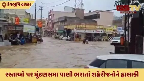 Dwarka news: બે કલાકમાં જ પાંચ ઇંચ વરસાદ ખાબકતા જળબંબાકાર, 8 જિલ્લામાં રેડ એલર્ટ