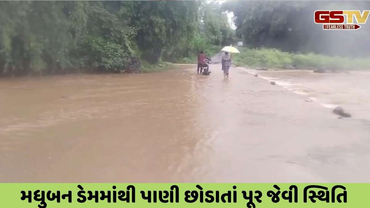 Rain in Valsad : વલસાડ જિલ્લામાં જળબંબાકાર, કપરાડામાં 7.5 ઈંચ વરસાદ ખાબક્યો, મધુબન ડેમમાંથી પાણી છોડાયું