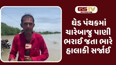 VIDEO: જૂનાગઢના માંગરોળ તાલુકામાં ઘેડ પંથક જળબંબાકારથી જનજીવનને અસર