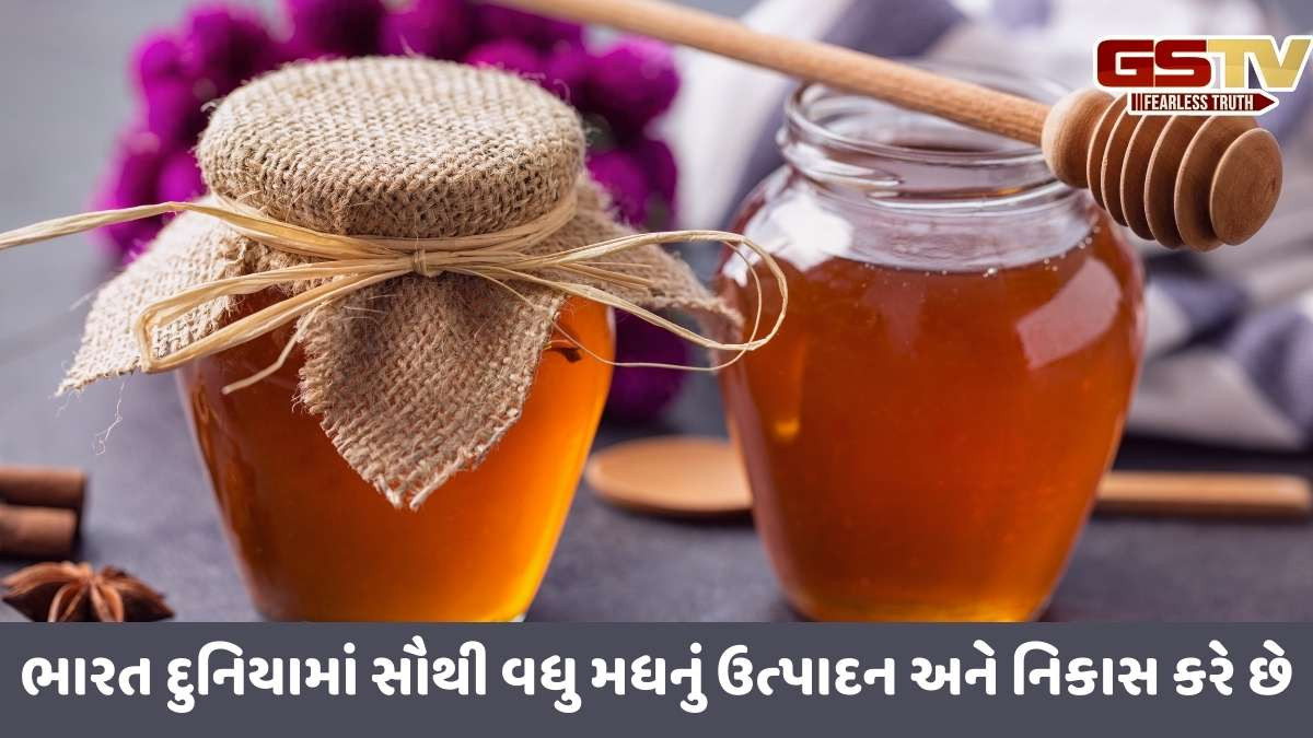 Tariff: 50 ટકા US ટેરિફથી ભારતીય મધ નિકાસમાં ઉથલપાથલ, ખેડૂતો ચિંતિત