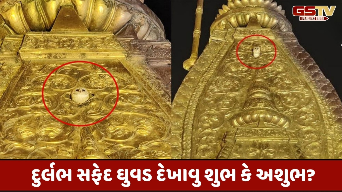 Religion : કાશી વિશ્વનાથ મંદિર પરિસરમાં હાજર ભક્તો આ ઘટનાને ખૂબ જ શુભ સંકેત માની રહ્યા છે