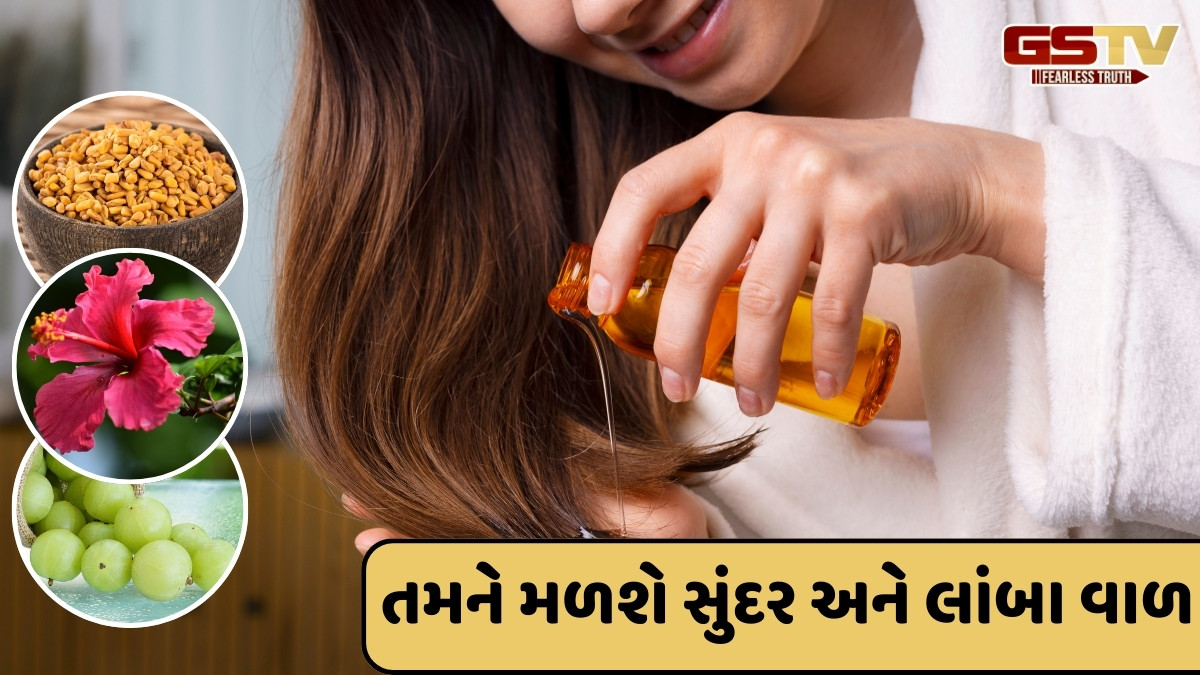 Hair Care Tips / મેથી, આમળા અને હિબિસ્કસના ફૂલોમાંથી બનાવો આ ખાસ તેલ, ઓછા થઈ જશે હેરફોલ