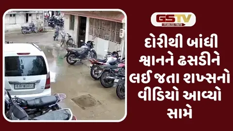  VIDEO: ચાંદલોડિયામાં શ્વાનને નિર્દયતાથી ઢસડી લઈ જઈ મોત નિપજાવનાર શખ્સ સામે પોલીસ ફરિયાદ