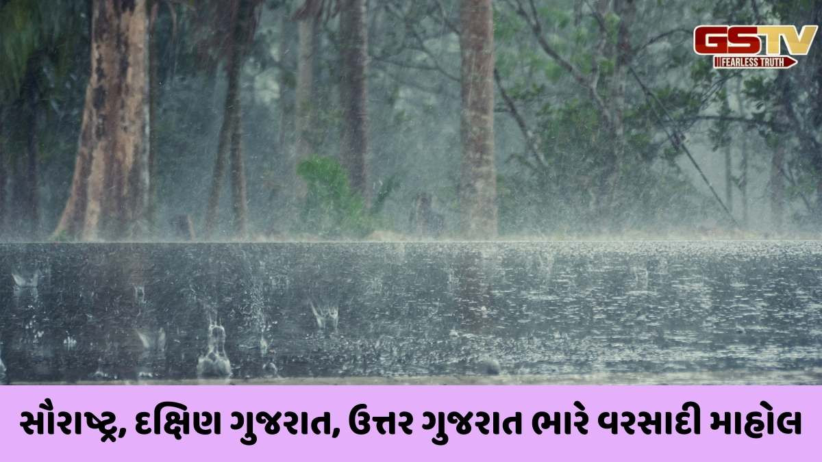 Rainfall in Gujarat : ગુજરાતના 213 તાલુકામાં વરસાદ વરસ્યો, સૌથી વધુ સંખેડામાં 3.31 ઈંચ ખાબક્યો,  જુઓ ક્યાં-કેટલો વરસ્યો