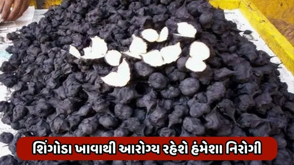 Health Tips : હૃદય તંદુરસ્ત રાખવા સહિત શિંગોડાનું સેવન કરવાથી થાય છે આ લાભો, આહારમાં જરૂર કરો સામેલ