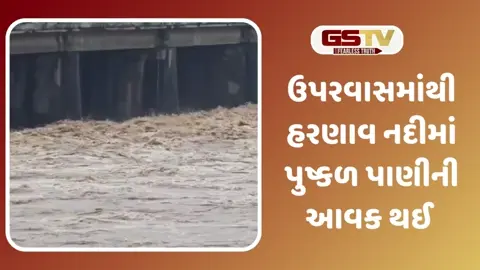 VIDEO: ખેડબ્રહ્માની હરણાવ નદી ગાંડીતૂર થતા લોકોમાં ભયનો માહોલ