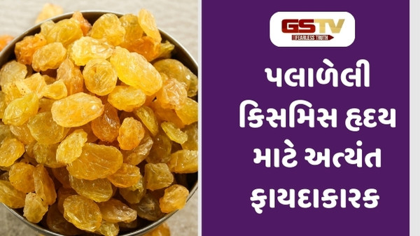 Health Tips : પલાળેલી કિસમિસ ખાવાથી આ ગંભીર સ્વાસ્થ્ય સમસ્યાથી મળશે છુટકારો, જાણો સેવન કરવાની રીત