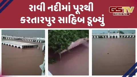 VIDEO: ભારત પાકિસ્તાન બોર્ડર પર બનેલો કરતારપુર કોરિડોર ડૂબ્યો, રાવી નદીમાં પૂરથી ગુરદાસપુર બેહાલ