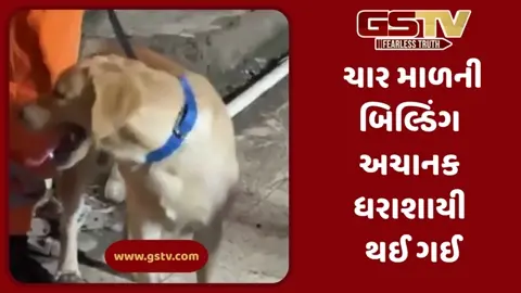 VIDEO:  મધરાત્રે મુંબઈના વિરારમાં ચાર માળની ઈમારત ધરાશાયી, 3 લોકોના મોત, 25 દટાયાની આશંકા