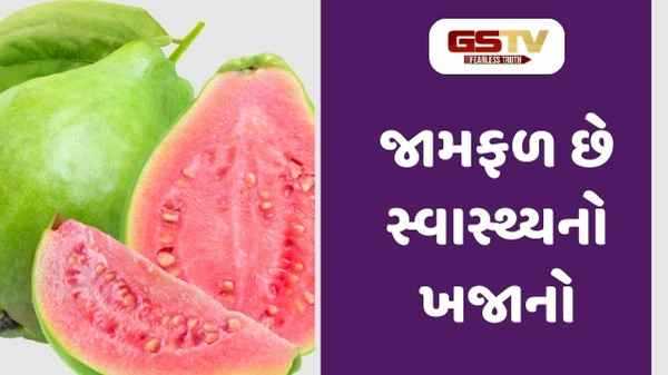 Health Tips : જામફળ છે સ્વાસ્થ્યનો ખજાનો, ડાયાબિટીસની સમસ્યામાં પણ છે ફાયદાકારક, જાણો તેના સેવનના લાભ