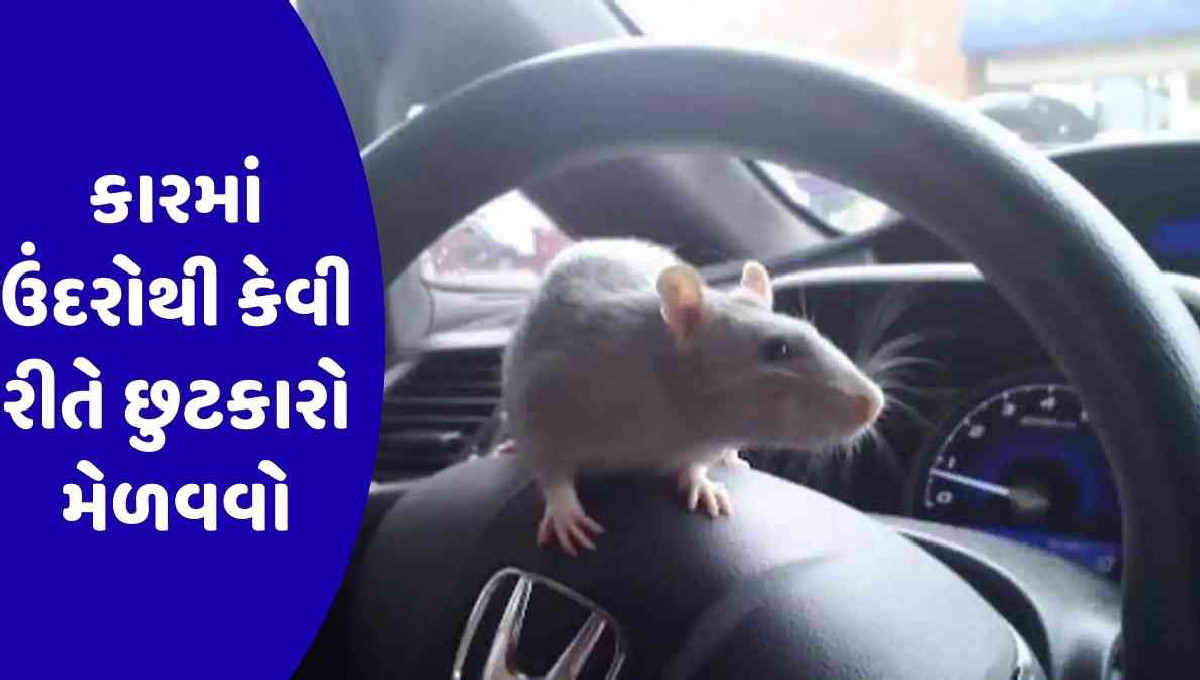 Auto Tips : શું તમે કારમાં ઉંદરોના આતંકથી પરેશાન છો? જાણો તેનાથી છુટકારો મેળવવાના સરળ ઉપાયો