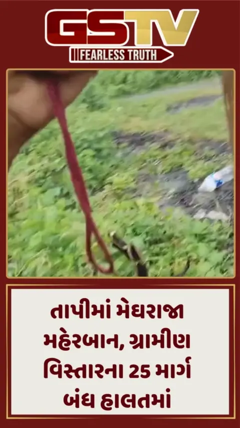તાપીમાં મેઘરાજા મહેરબાન, ગ્રામીણ વિસ્તારના 25 માર્ગ બંધ હાલતમાં