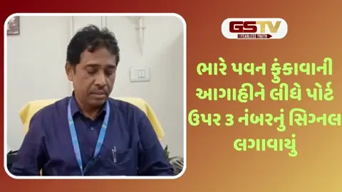 VIDEO: ગુજરાતમાં આગામી 7 દિવસ ભારે વરસાદની આગાહી, માછીમારોને દરિયો ન ખેડવા સૂચના