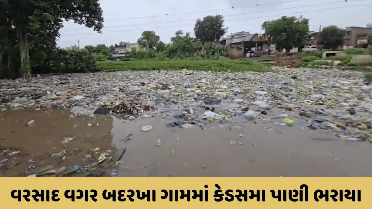 Dholka news: ઉપરવાસમાં ભારે વરસાદને લીધે ધોળકાના બદરખા ગામમાં દેશી દારૂની થેલીઓ-કચરો તણાઈ આવતા રોષ