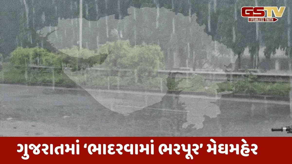Rain in Gujarat : રાજ્યના 119 તાલુકામાં અનરાધાર મેઘમહેર યથાવત્, હાલોલમાં 9.84 ઈંચ વરસાદ ખાબક્યો, જુઓ ક્યાં-કેટલો વરસાદ