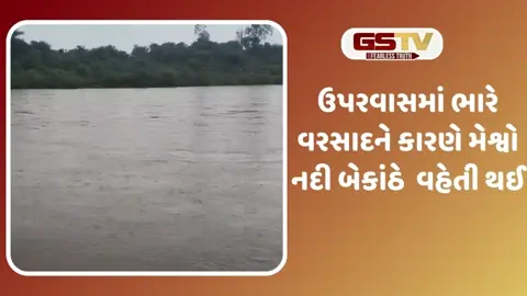 VIDEO: પાણીની વિપુલ આવકથી મેશ્વો નદીમાં પાણીનો પ્રવાહ વધ્યો, પુલ બનાવવાની માંગ ઉઠી