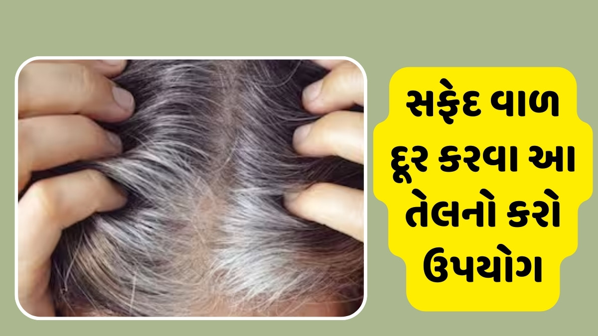 Hair Care Tips : સફેદ વાળ દૂર કરવા આ તેલનો કરો ઉપયોગ, વાળ થશે જાડા અને લાંબા
