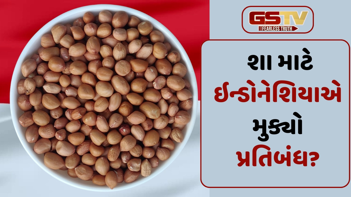 Business Plus: ભારતીય મગફળીની આયાત ઉપર ઇન્ડોનેશિયાનો પ્રતિબંધ