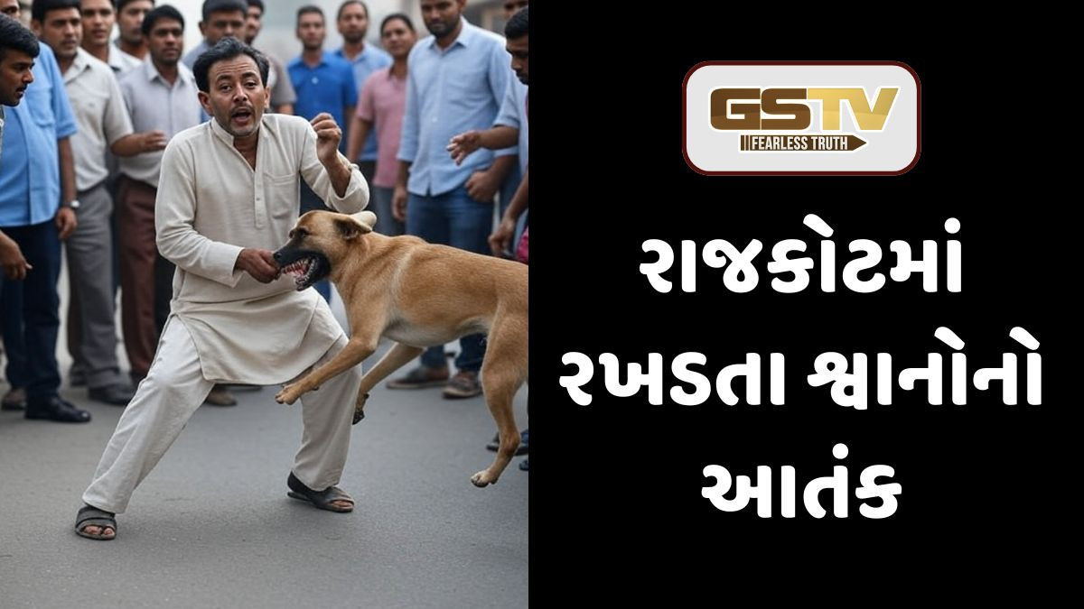Rajkot: કૂતરા કરડવાના કેસમાં 34 ટકાનો વધારો, દૈનિક 35 થી 47 બનાવ