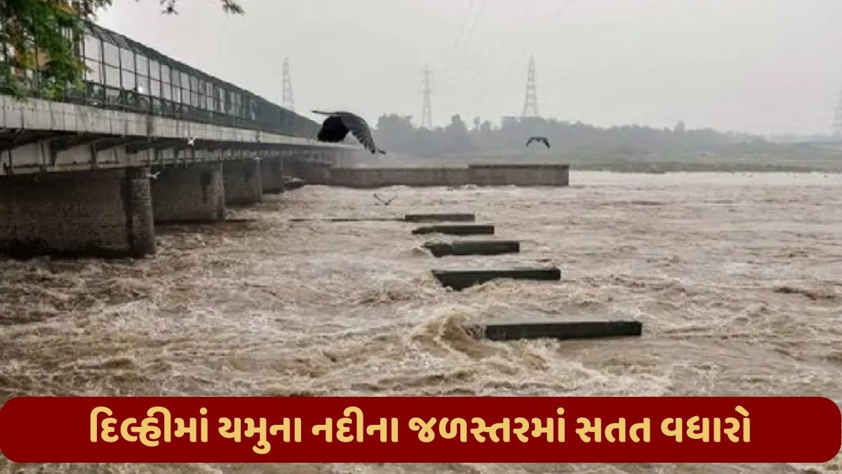 VIDEO: દિલ્હીમાં યમુનાનું જળસ્તર 207.33 મીટરે પહોંચ્યું, 2013નો રેકોર્ડ તોડ્યો; અનેક વિસ્તારો પાણીમાં ગરકાવ
