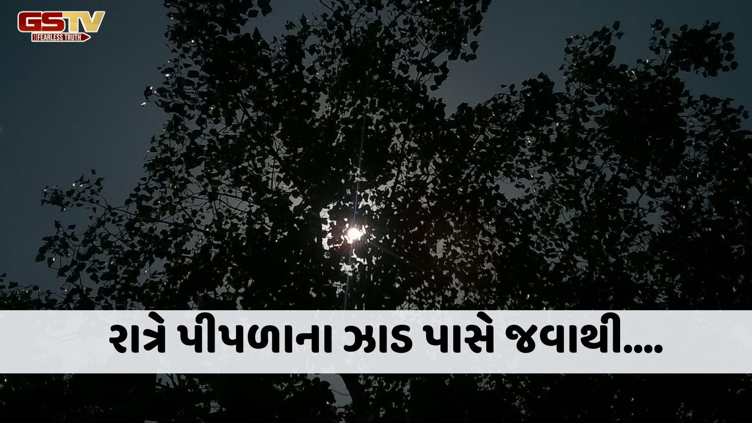 Religion : રાત્રે પીપળાના ઝાડ પાસે કેમ ન જવું જોઈએ