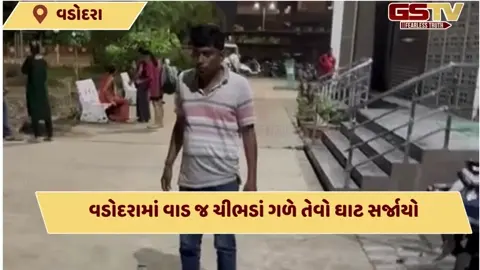 VIDEO: વડોદરાના મકરપુરમાં રાજાપાટમાં ફરતા પોલીસ જવાન ચર્ચાનો વિષય બન્યો