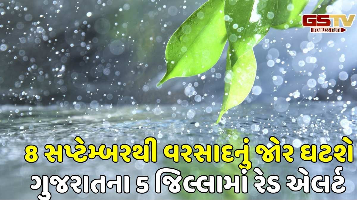 Gujarat Rain Forecast: રાજ્યમાં આગામી 2 દિવસ ભારેથી અતિ ભારે વરસાદની આગાહી, આ 5 જિલ્લામાં રેડ એલર્ટ જાહેર