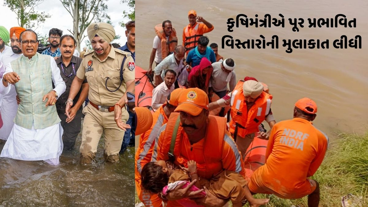 પંજાબમાં વરસાદની તારાજી, 23 જિલ્લાના 1900 ગામડાઓ પાણીમાં ગરકાવ; 3.84 લાખ લોકો પ્રભાવિત