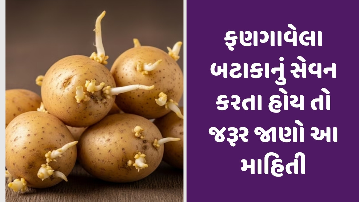 Health Tips : ફણગાવેલા બટાકા ઝેર સમાન, આનું સેવન કરવાથી થઈ શકે છે જીવલેણ બીમારીઓ