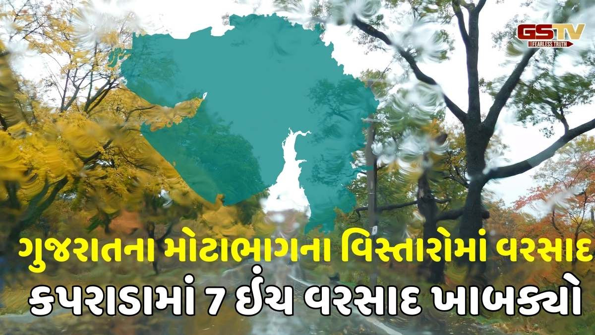 Rain in Gujarat: રાજ્યમાં 209 તાલુકામાં સાર્વત્રિક મેઘમહેર, સૌથી વધુ કપરાડામાં 7 ઈંચથી જળબંબાકારની સ્થિતિ, જુઓ ક્યાં-કેટલો વરસાદ
