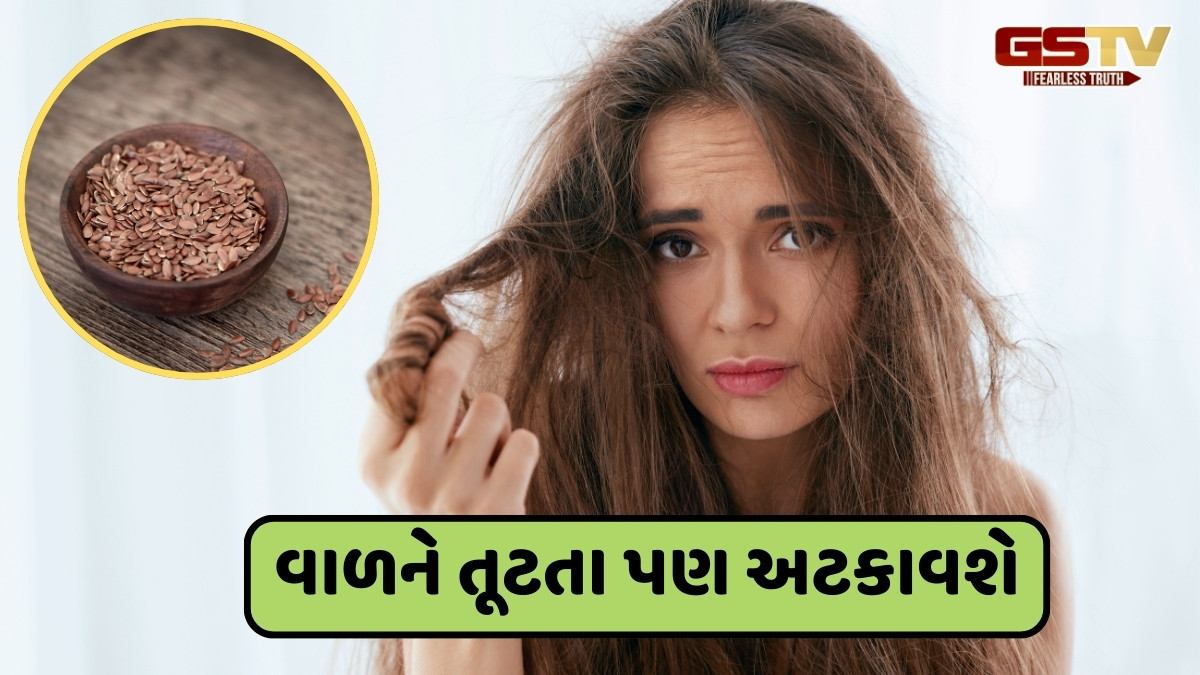 Hair Care Tips / ડ્રાય હેરથી છુટકારો મેળવવા આ રીતે કરો અળસીના બીજનો ઉપયોગ, તમને મળશે નરમ અને ચમકદાર વાળ