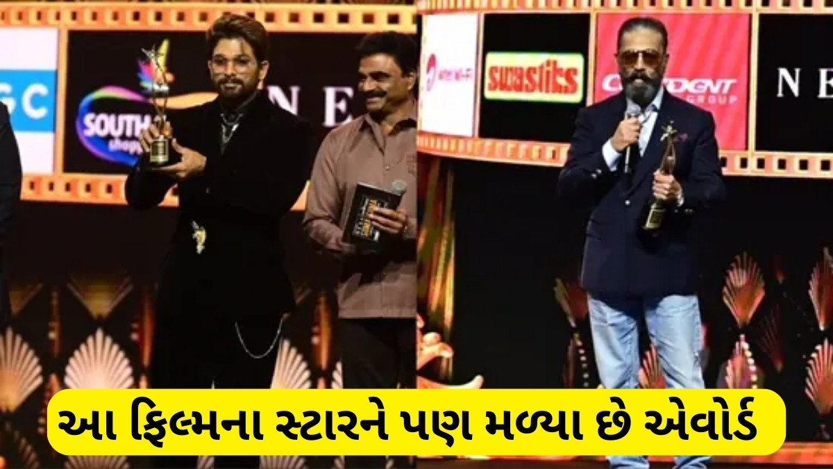 અલ્લુ અર્જુનને ત્રીજી વખત મળ્યો શ્રેષ્ઠ અભિનેતાનો એવોર્ડ, અમિતાભ બચ્ચનને મળ્યું આ સન્માન