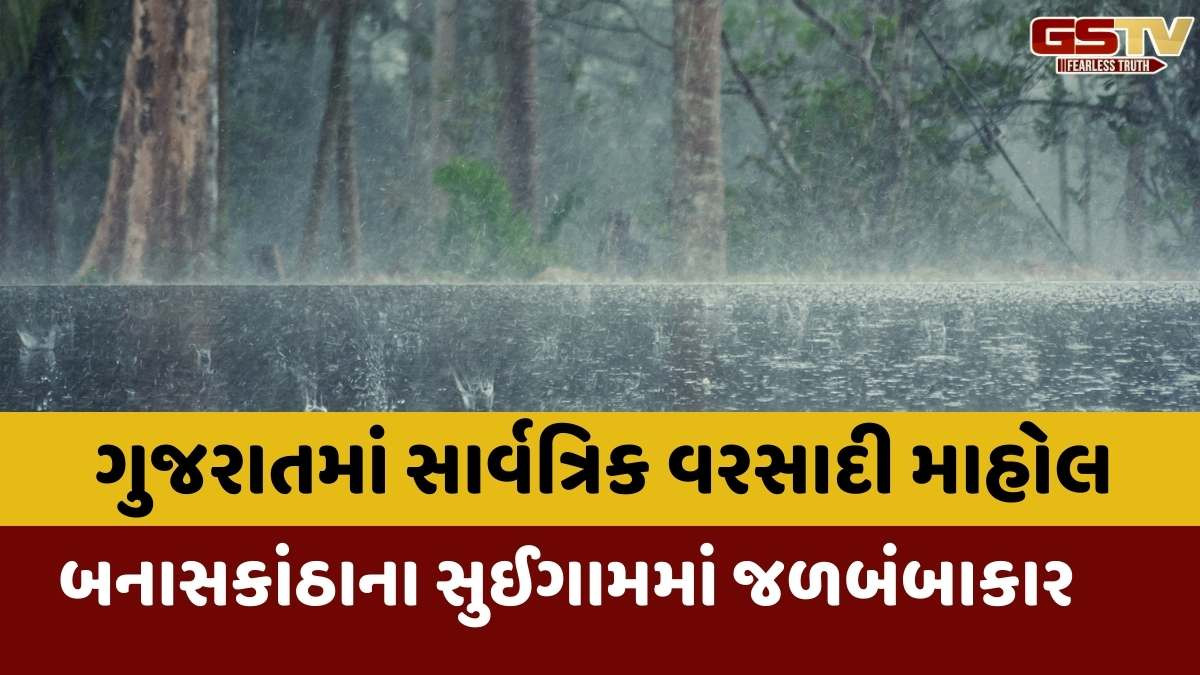 Rain in Gujarat: રાજ્યમાં 221 તાલુકામાં સાર્વત્રિક વરસાદ, સુઈગામમાં સૌથી વધુ 13 ઈંચ વરસાદ ખાબક્યો, જુઓ ક્યાં-કેટલો વરસાદ