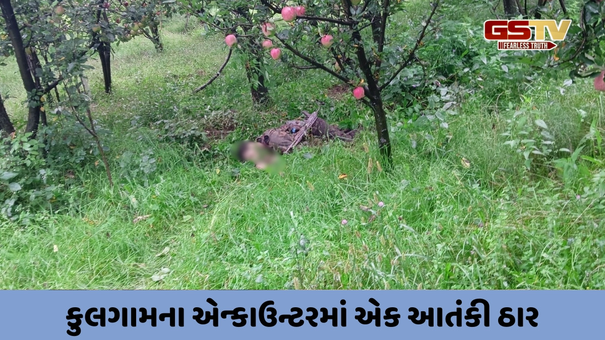 Jammu and Kashmir: કુલગામમાં એન્કાઉન્ટરમાં એક આતંકવાદી ઠાર, એક અધિકારી સહિત ત્રણ સૈનિકો ઈજાગ્રસ્ત
