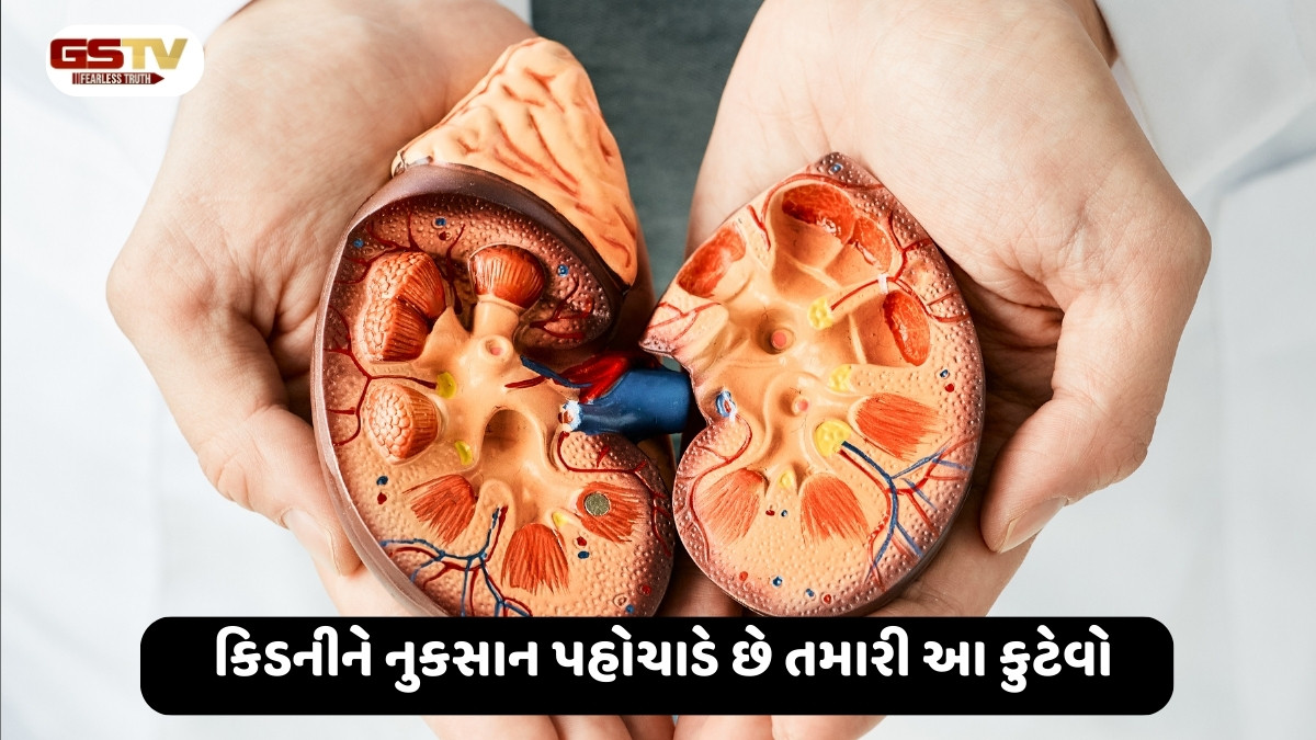 Health Tips : રોજની આ કુટેવો કિડનીને પહોચાડે છે ગંભીર નુકસાન, જાણો તમે તો નથી કરતા ને આ ભૂલો?