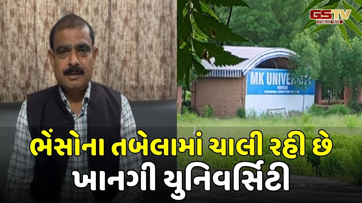 Patan News: ભેંસોના તબેલામાં ચાલે છે 'ભૂતિયા યુનિવર્સિટી', કિરીટ પટેલે વિધાનસભામાં ભાજપ સરકારને ઘેરી