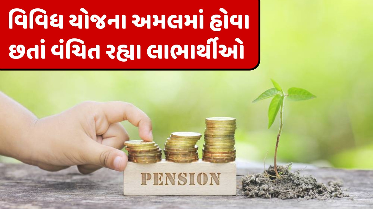 વણવપરાયેલી પડી રહી વૃદ્ધ પેન્શન યોજનાની 26.94 કરોડ રૂપિયાની ગ્રાન્ટ, માત્ર આટલા લાખનો કરાયો ખર્ચ