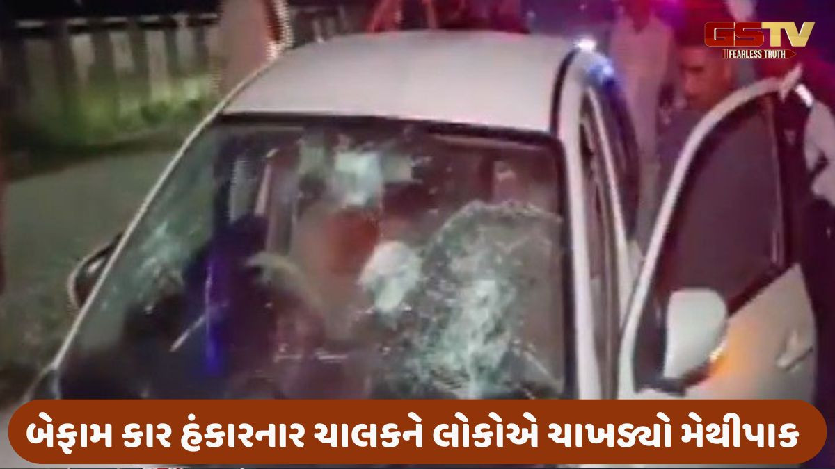 Valsad news: નશામાં ધૂત કારચાલકે વાહનો-પશુઓને અડફેટે લીધા, વાછરડી અને શ્વાનનું મોત