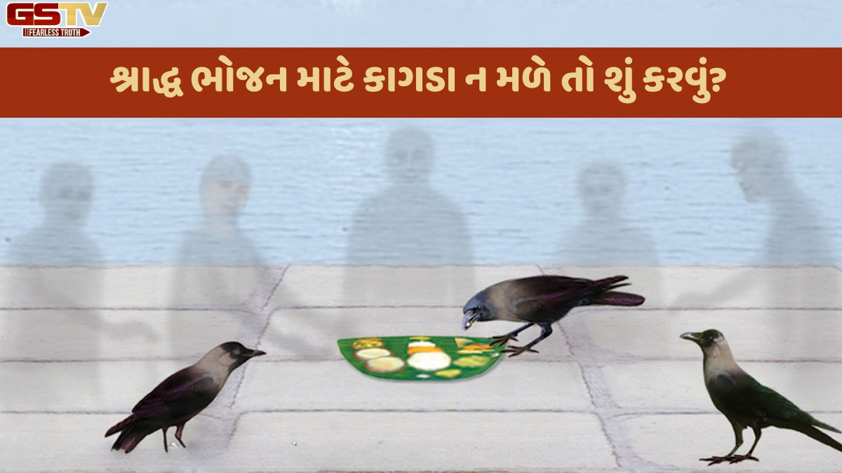 Religion : પિતૃ પક્ષમાં શ્રાદ્ધ ભોજન માટે પિતૃઓને સંતોષવા માટે કાગડા ન મળે તો શું કરવું?
