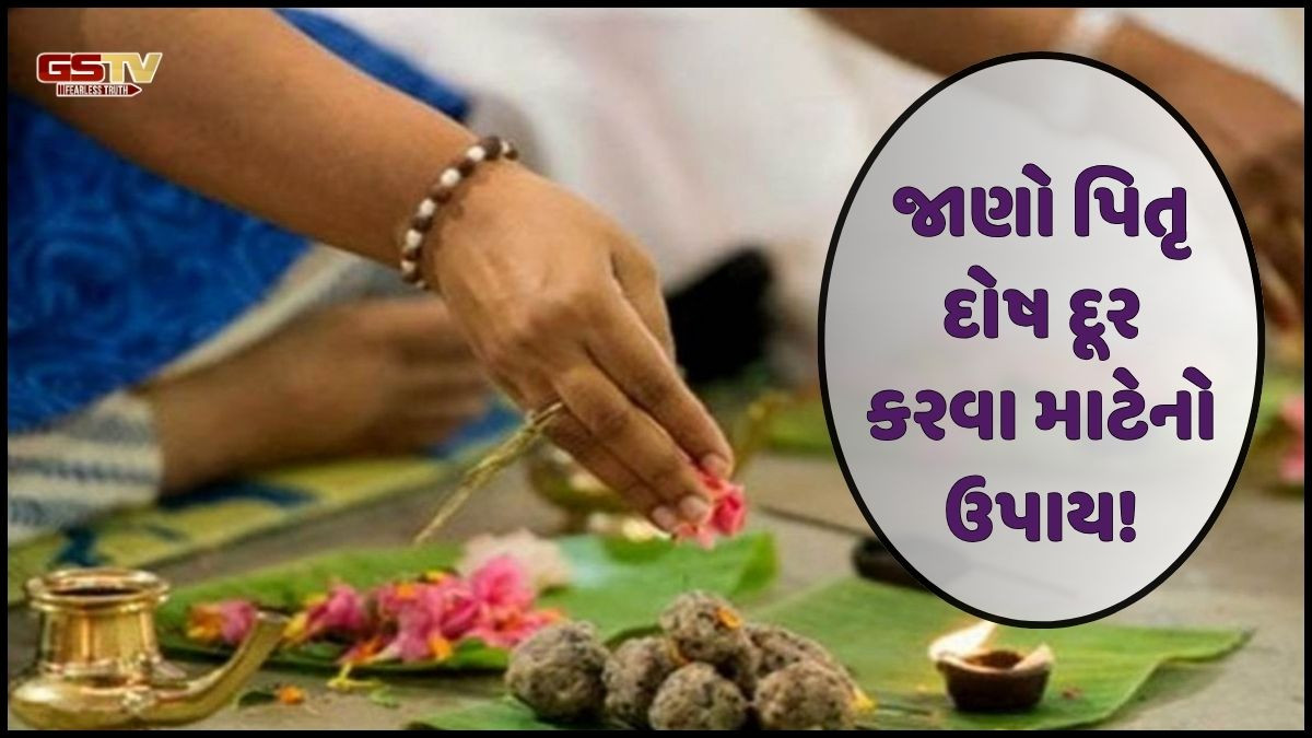 Religion: સર્વ પિતૃ અમાવસ્યા પર શિવલિંગ પર કરો આ વસ્તુઓ અર્પણ: પિતૃ દોષથી મળશે મુક્તિ