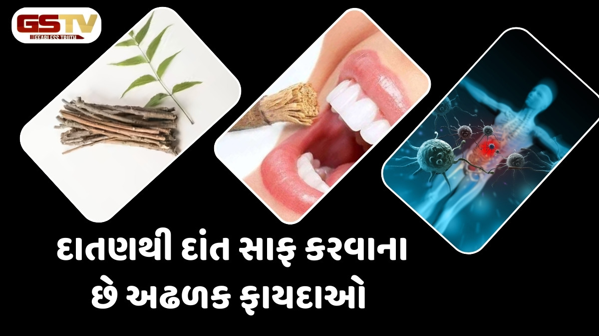 Health Tips : માત્ર દાંત માટે નહીં આખા આરોગ્ય માટે પણ ખૂબ જ લાભદાયી છે દાતણ, જાણો તેના અગણિત લાભ