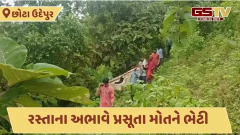 Video: વિકસિત ગુજરાતની વરવી વાસ્તવિકતા, છોટા ઉદેપુર જિલ્લામાં રસ્તાના અભાવે પ્રસૂતાનું મોત