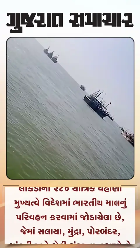 ઇમિગ્રેશન સમસ્યાથી સલાયાના 40 વહાણો અટવાયા