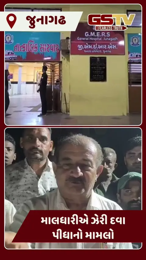 Video: Junagadhના માલધારીએ ઝેરી દવા પીધાનો મામલો, વન વિભાગના કર્મચારીઓ અને અધિકારીઓ સામે નોંધાયો ગુનો