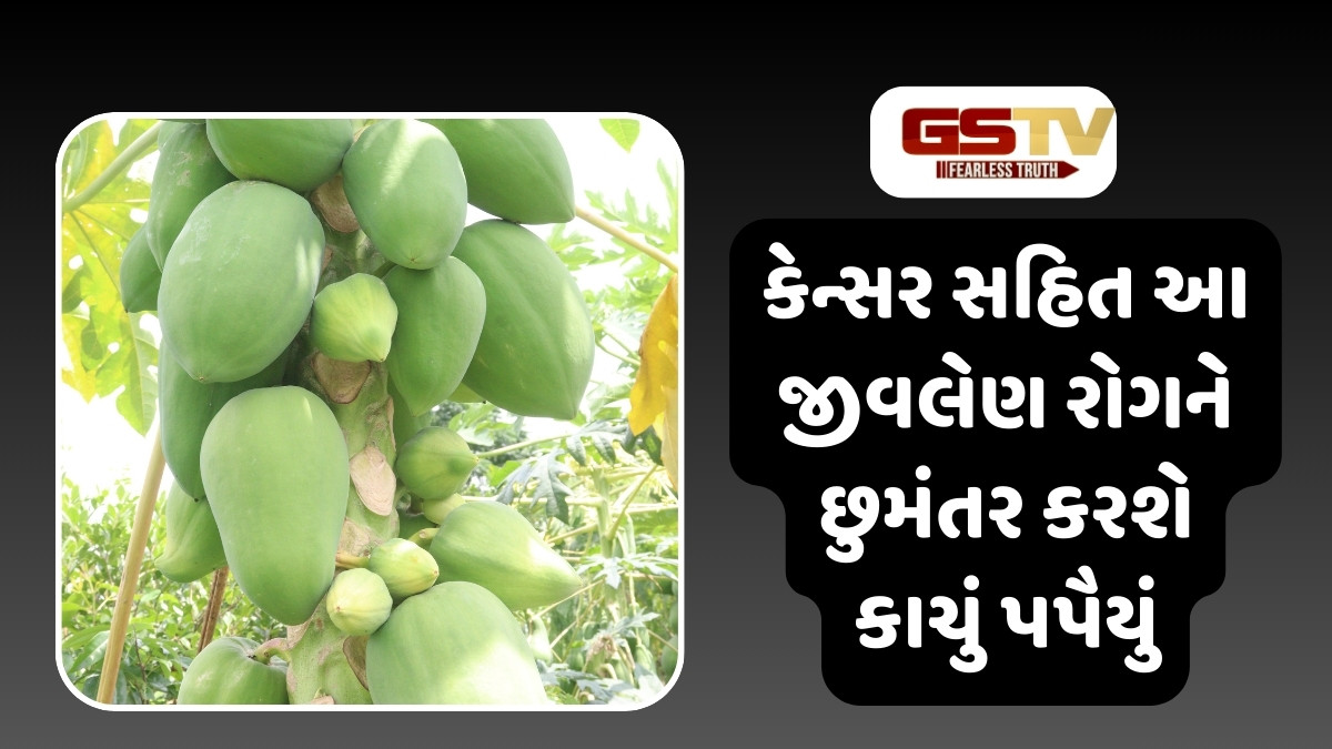Health Tips : કેન્સર સહિત આ જીવલેણ રોગને છુમંતર કરશે કાચું પપૈયું, ફાયદા જાણી જરૂર કરશો સેવન
